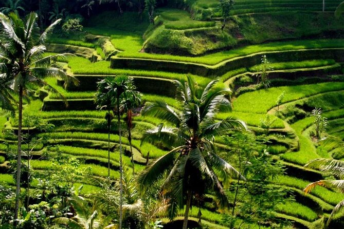 Exclusive Ubud Experience: Nature, Culture & Adventure in One Day - Key points before you go