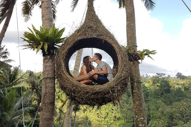 Experience Full Day to Bali Swing Temple and Monkey Forest - Bali Swing at Picheaven: heights, safety, and your best photo window