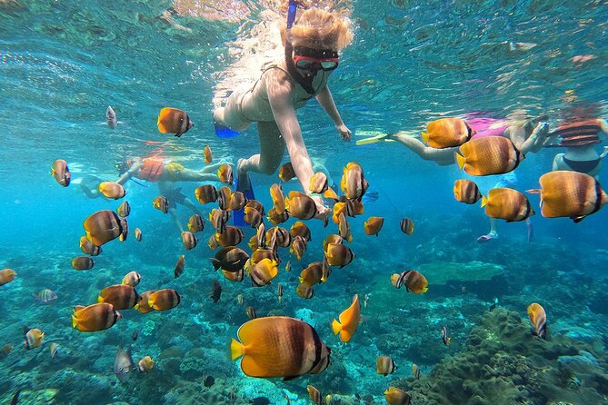 Explore 4 iconic snorkeling spots of Manta Bay in Nusa Penida - Manta Bay and Nusa Penida: what makes this area worth your time