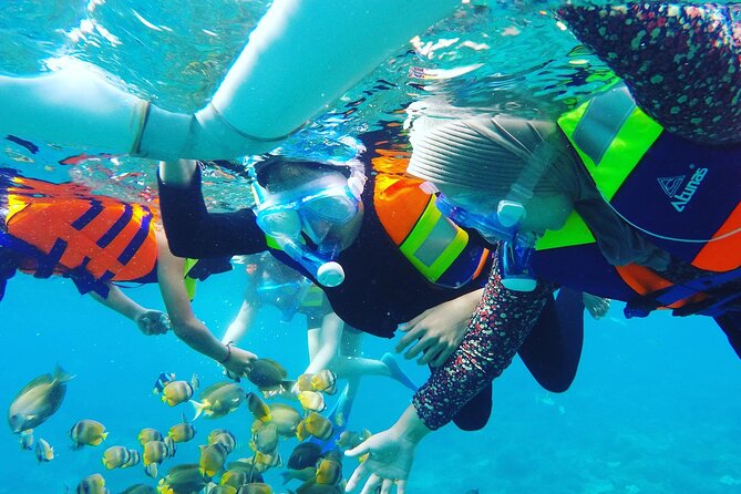 Explore 4 iconic snorkeling spots of Manta Bay in Nusa Penida - What you get for $27: gear, guide, and included underwater media