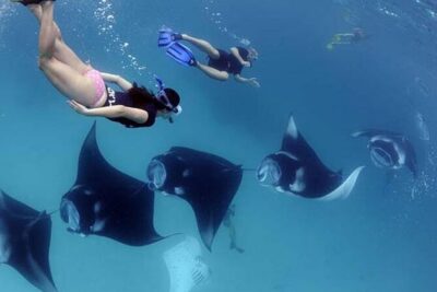 Explore 4 iconic snorkeling spots of Manta Bay in Nusa Penida - The 2.5-hour rhythm: boat time and four short snorkels