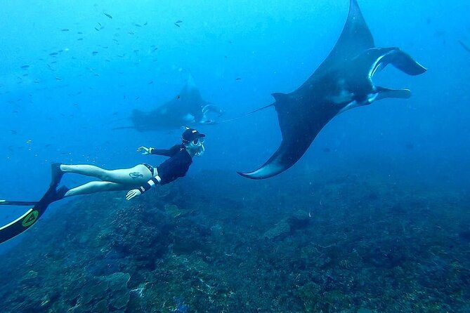 Explore 4 iconic snorkeling spots of Manta Bay in Nusa Penida - Small-group feel, customer service, and how the day really runs