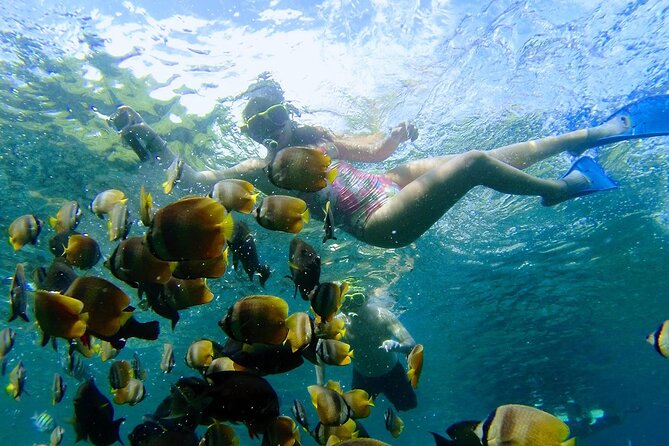 Explore 4 iconic snorkeling spots of Manta Bay in Nusa Penida - Choosing your start point: Sanur vs Nusa Penida departures