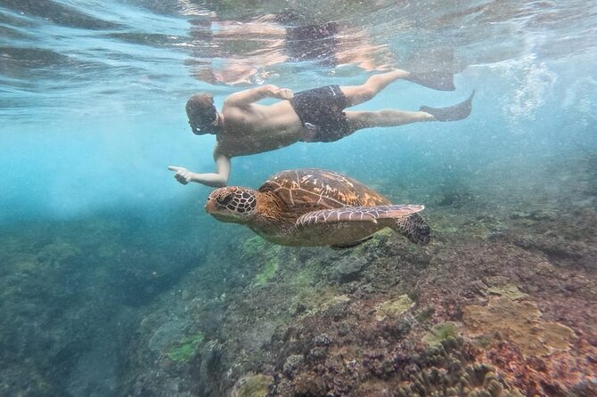 Explore 4 iconic snorkeling spots of Manta Bay in Nusa Penida - Who this tour fits best (and who should be cautious)