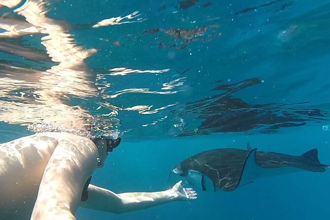 Explore 4 iconic snorkeling spots of Manta Bay in Nusa Penida - Should you book this Manta Bay four-spot snorkeling tour?