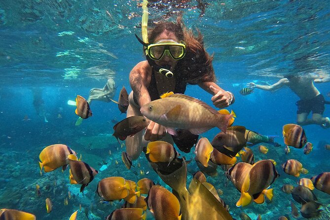 Explore 4 iconic snorkeling spots of Manta Bay in Nusa Penida - FAQ