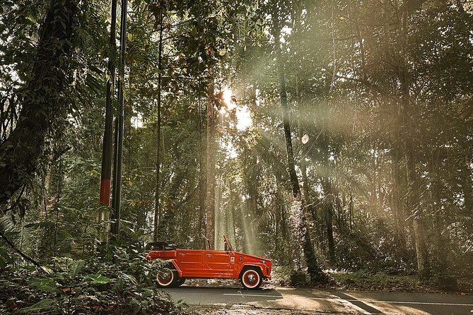 Explore Bali's Hidden Gems In a Classic Vw Convertible - Celuk Art Village and nearby craft stops: silver, batik, wood