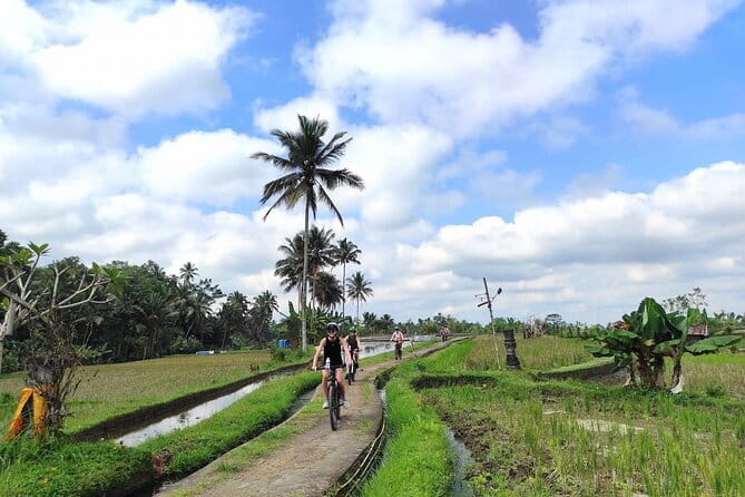 Explore Rice Fields and Hidden Villages with Ubud E-Bike Tour - Stop 3 at Tegalalang Rice Terrace: The One-Hour Tegallalang Experience