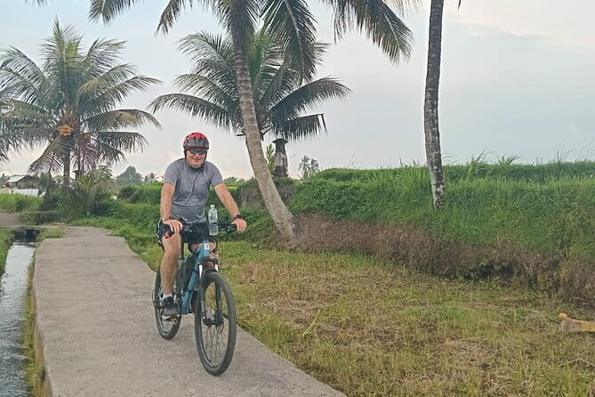 Explore Rice Fields and Hidden Villages with Ubud E-Bike Tour - Lunch, Water, and Photos: The Inclusions That Make the Day Feel Easy