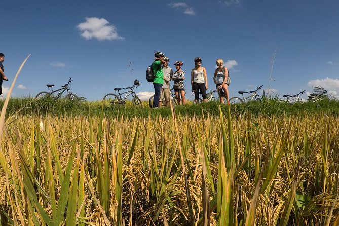 Explore Ubud with Electric Bike - Before You Ride: gear, safety briefing, and wet-weather comfort
