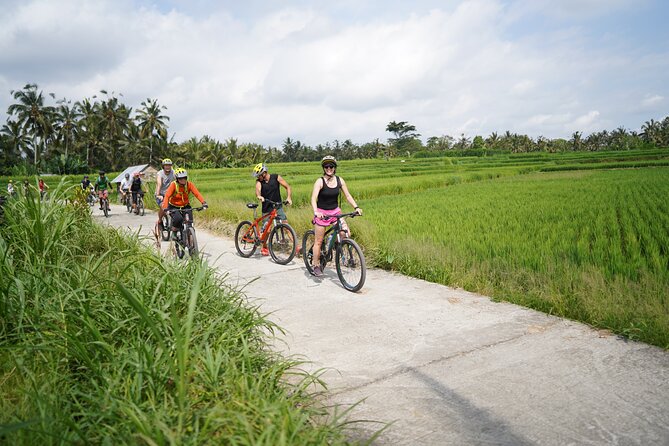 Explore Ubud with Electric Bike - Guide factor: what you gain from riding with Yogi
