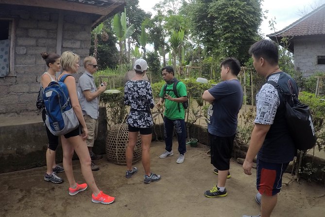 Explore Ubud with Electric Bike - Price and logistics: what $34 really includes