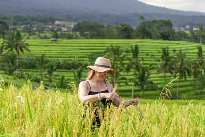 Exquisite UNESCO World Heritage Sites in Bali - What to bring so you don’t regret it at Stop 3 or 4