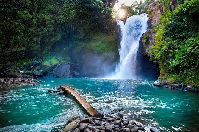 Fantastic Ubud Tour with Jungle Swing - Price and what you’re really paying for (starting at $32)
