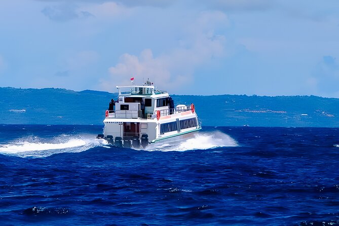 Fast Boat Transfer Bali to Gili & Lombok + Private Hotel Pick-up - Quick practical tips to make the crossing day smoother