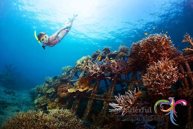 Fly Board Experience in Bali - Weather matters more than you think