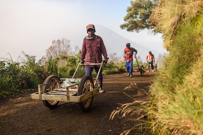 From Bali : Bromo & Kawah Ijen – 3-Day Adventure - The physical reality check: who this tour suits (and who should think twice)