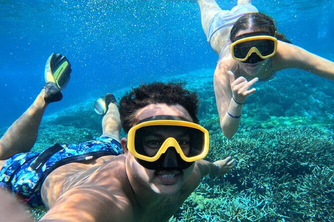 From Bali: Nusa Penida Full Day Tour and Snorkeling - The Nusa Penida “best-of” formula that actually works