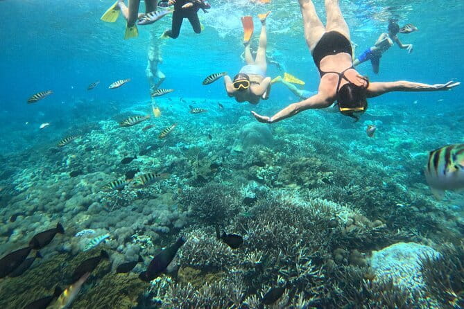 From Bali: Nusa Penida Full Day Tour and Snorkeling - Who this tour is best for