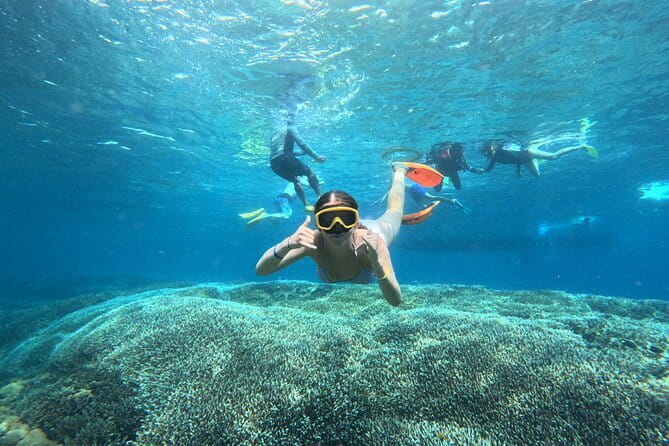 From Bali: Nusa Penida Full Day Tour and Snorkeling - Getting there from Bali: pickup and the fast-boat rhythm