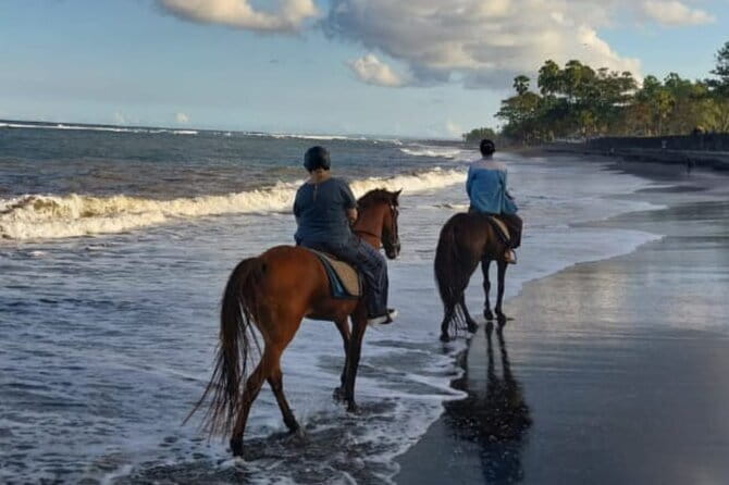 From Ubud 1 Hour Horse Riding at The Beach Experiences - Weather and Timing: Small Planning Notes That Matter