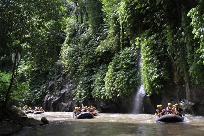 Full-Day Ayung River White Water Rafting and Ubud Tour - Tegenungan Waterfall: views plus a short walk
