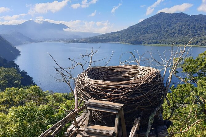 Full Day Bali North West Tour - Waterfall and Scenic Site - Guide + Driver: Why This Feels Less Stressful