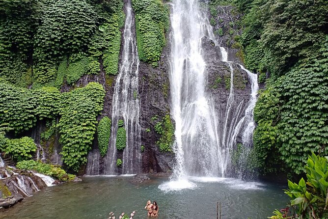 Full Day Bali North West Tour - Waterfall and Scenic Site - Who This Tour Fits Best (And Who Might Prefer Something Else)