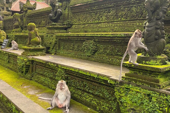 Full Day Best of Ubud Private Tour - Tirta Empul Temple: holy water springs and strict rules
