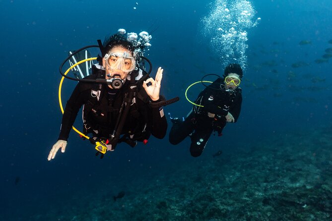 Full-Day Discover Scuba Diving Tour for Beginners in Tulamben - Tulamben’s Real Appeal for Beginners