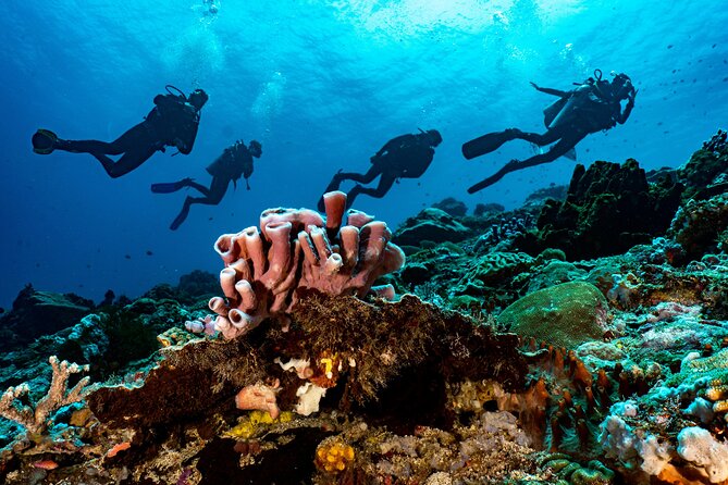 Full-Day Discover Scuba Diving Tour for Beginners in Tulamben - USS Liberty Wreck: The Big Finale (and Why It’s a Controlled Win)