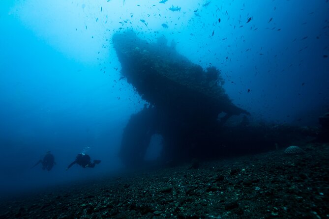 Full-Day Discover Scuba Diving Tour for Beginners in Tulamben - Price and Value: What $154.95 Buys You in the Real World
