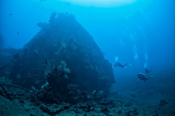 Full-Day Discover Scuba Diving Tour for Beginners in Tulamben - Pickup, Timing, and How the 11 Hours Are Structured
