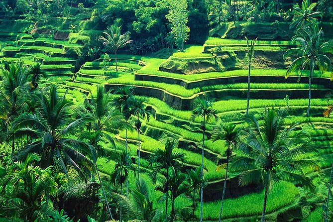 Full-Day in Bali: Amazing Ubud Tour - Hotel Pickup Across Ubud and South Bali (That Actually Helps)