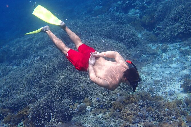 Full-Day Island-Hopping Tour from Bali - Nusa Lembongan and Nusa Penida: what you’re really paying for