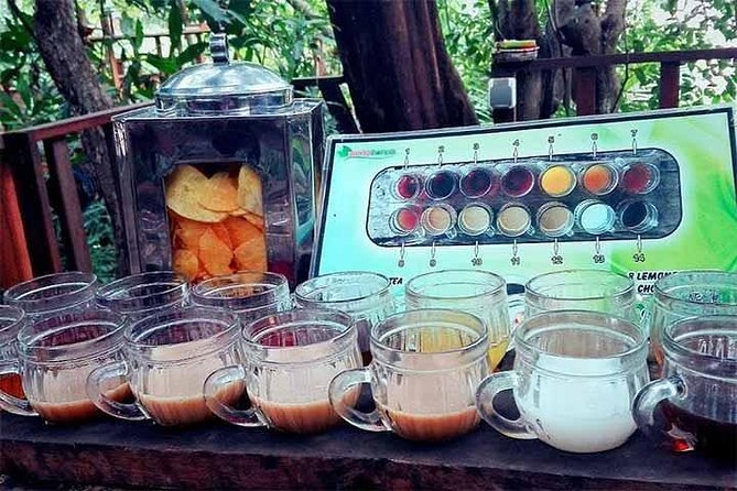 Full Day Kintamani and Penglipuran Village Private Chartered Car Tour from Bali - Kintamani and Mount Batur: the view stop you’re timing all day for