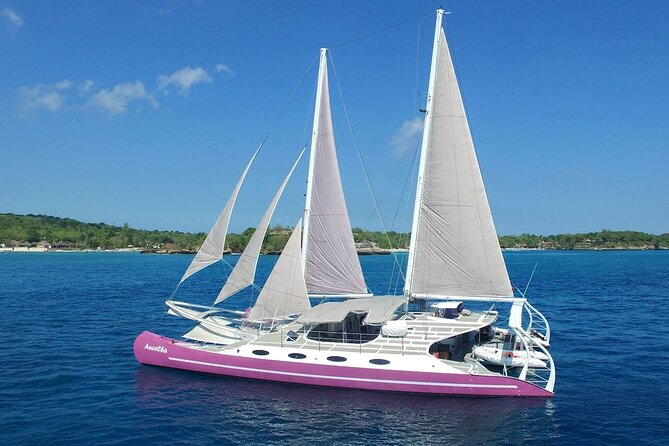 Full day Lembongan Island Catamaran Cruise with BBQ Lunch - Paula vs Aneecha Catamaran: Which Boat You’ll Get