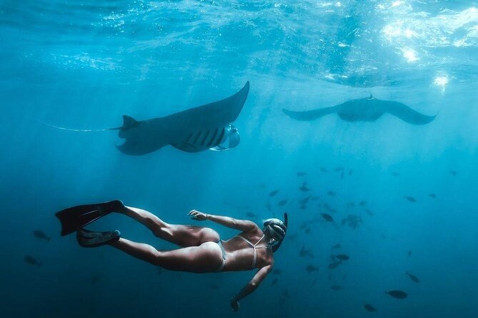 Full Day Nusa Penida Manta Point Snorkeling and West Island Tour - Seminyak to Nusa Penida: how this 10–12 hour plan actually works