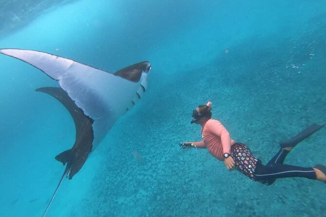 Full Day Nusa Penida Manta Point Snorkeling and West Island Tour - Manta Point snorkeling: your best chance at that bucket-list moment