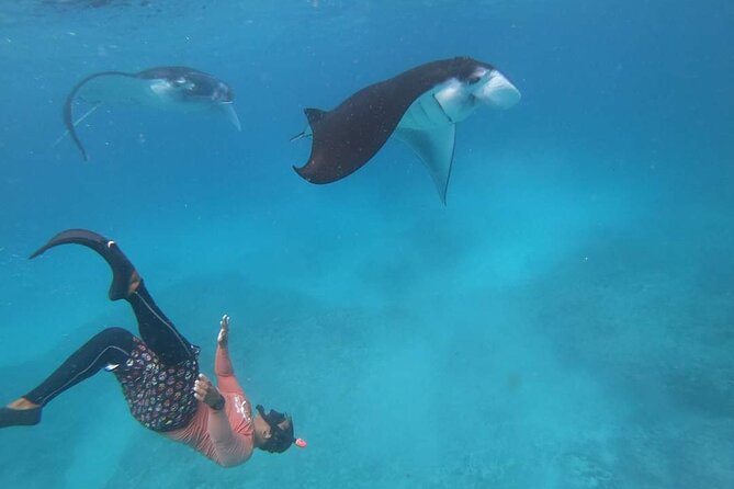 Full Day Nusa Penida Manta Point Snorkeling and West Island Tour - Kelingking Beach: the classic T-Rex rock photo stop (with limited time)