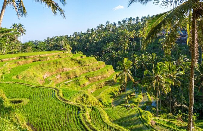 Full Day Private Bali Best Instagram Tour - Why This Tour Works for Instagram-Style Travel