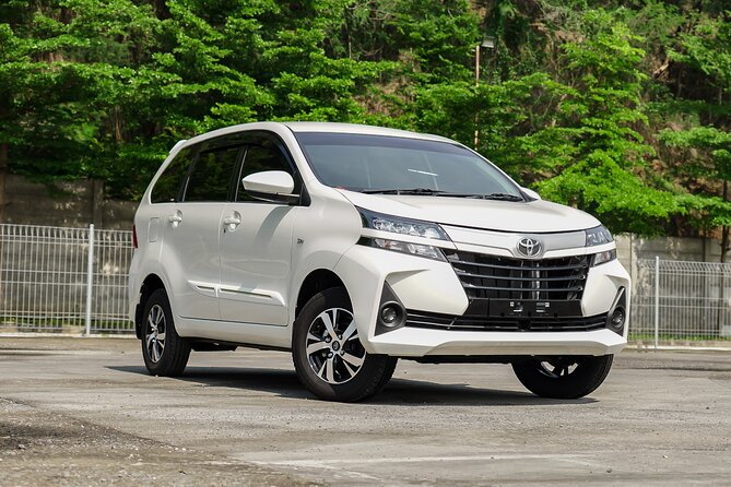 Full-Day Private Car Charter in Bali with Local Guide - What This Private Car Charter Gets You in Real Life