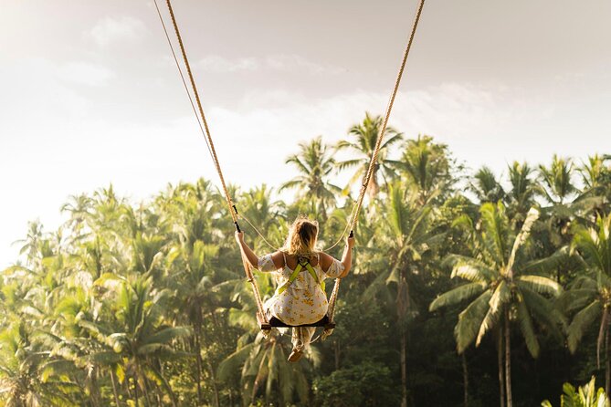 Full-Day Private Car Charter in Bali with Local Guide - Stop 4: Kintamani Highland for Mt. Batur Views and Lunch