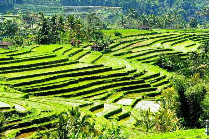 Full-Day Private Cultural Bali Tour + Balinese Driver - Water Blow and Garuda Wisnu Kencana: waves and myth in one arc