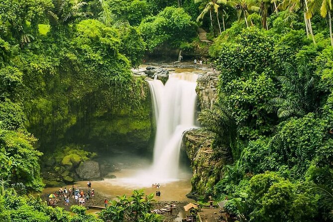 Full Day Private Guided Tour in Bali - Stop 5: Sacred Monkey Forest Sanctuary (A Protected Reserve, Not a Theme Park)