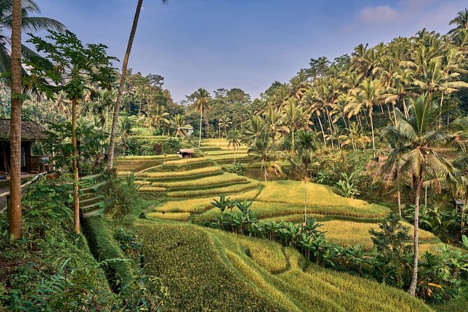 Full Day Private Guided Tour to Bali - Stop 1: Tegenungan Waterfall (1 Hour) for Jungle Views and Photo Time