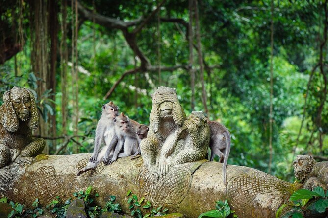 Full Day Private Guided Tour to Bali - Stop 2: Tirta Empul Temple (1 Hour) and Bali’s Sacred Water Springs