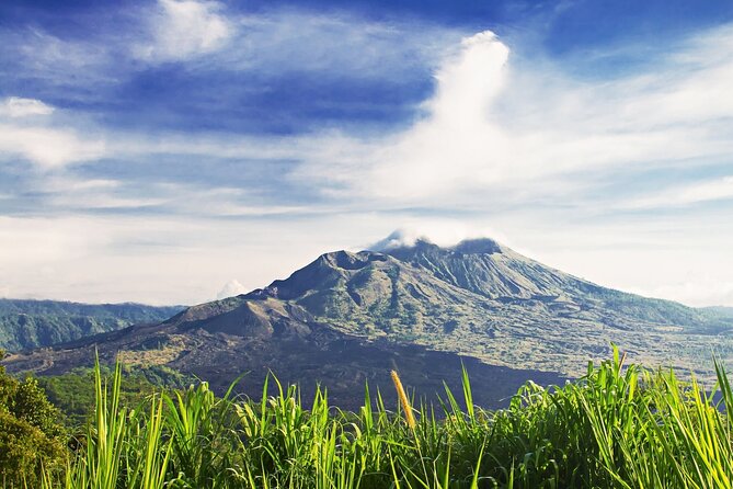 Full Day Private Guided Tour to Bali - Stop 4: Tegalalang Rice Terrace (45 Minutes) for Cliffside Farming Views