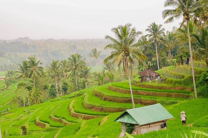 Full-Day Private North Bali Tour with Free WiFi - Tanah Lot Temple: Sea-Rock Icon, Plus Tide Timing