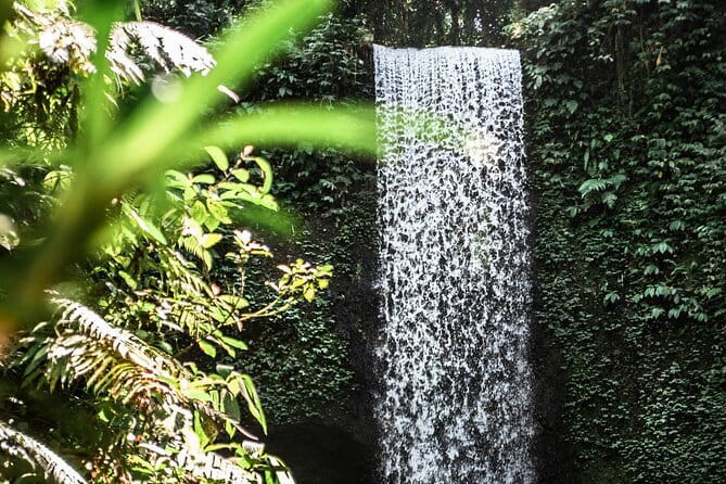 Full Day Private Tour All Inclusive Hidden Gems Bali Waterfall - Your Driver and Guide: Why “Private” Works Better Than It Sounds